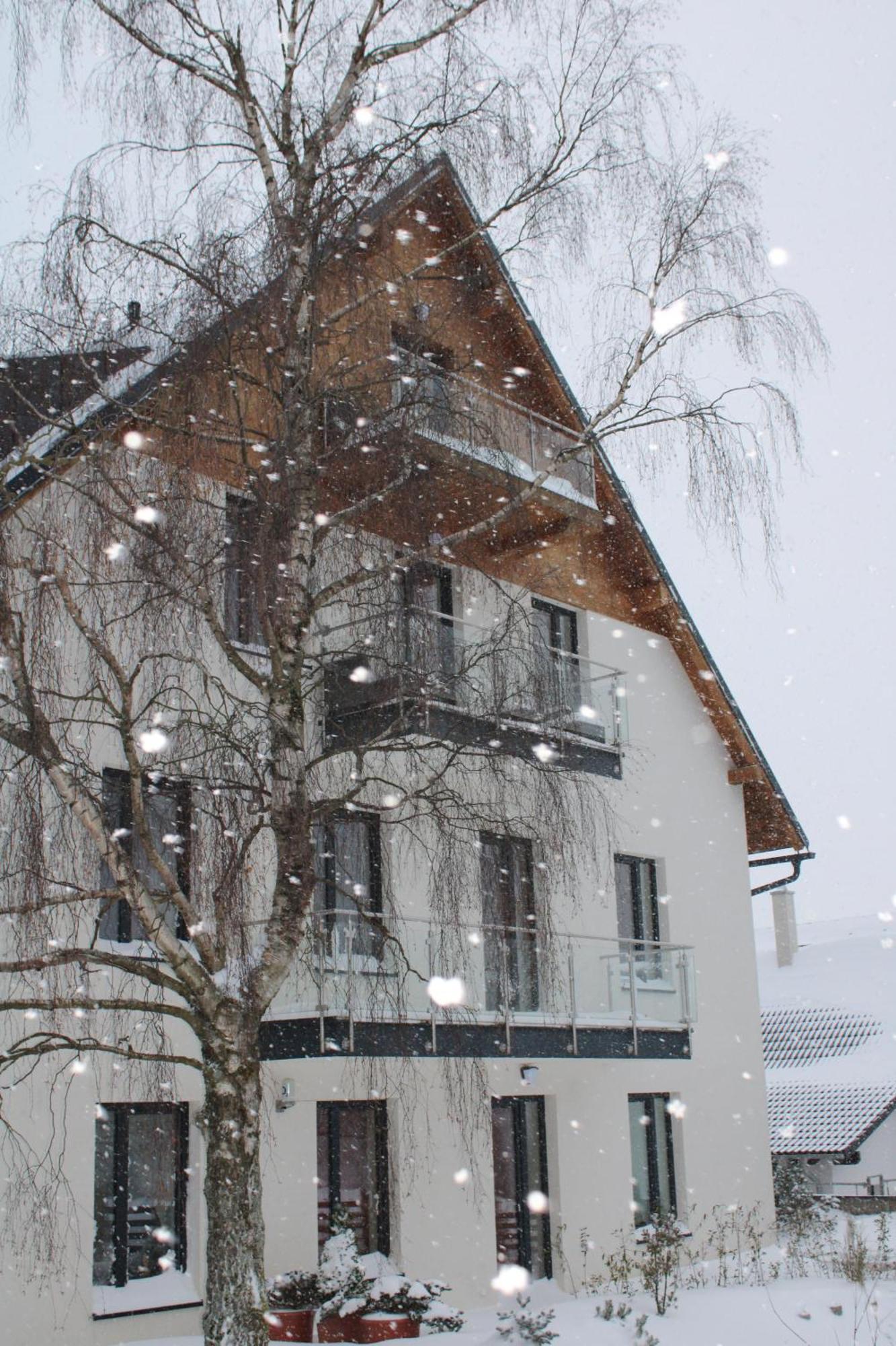 Ski Apartman Snowcat Abertamy Exterior foto